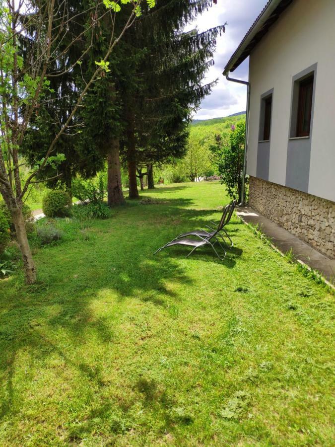 Villa Lucija Poljanak Extérieur photo